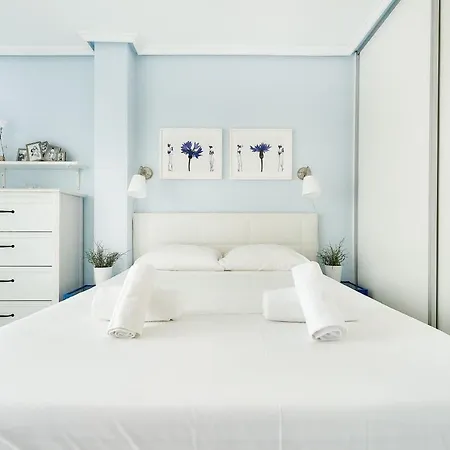 2 Bedroom Center Of Torrevieja